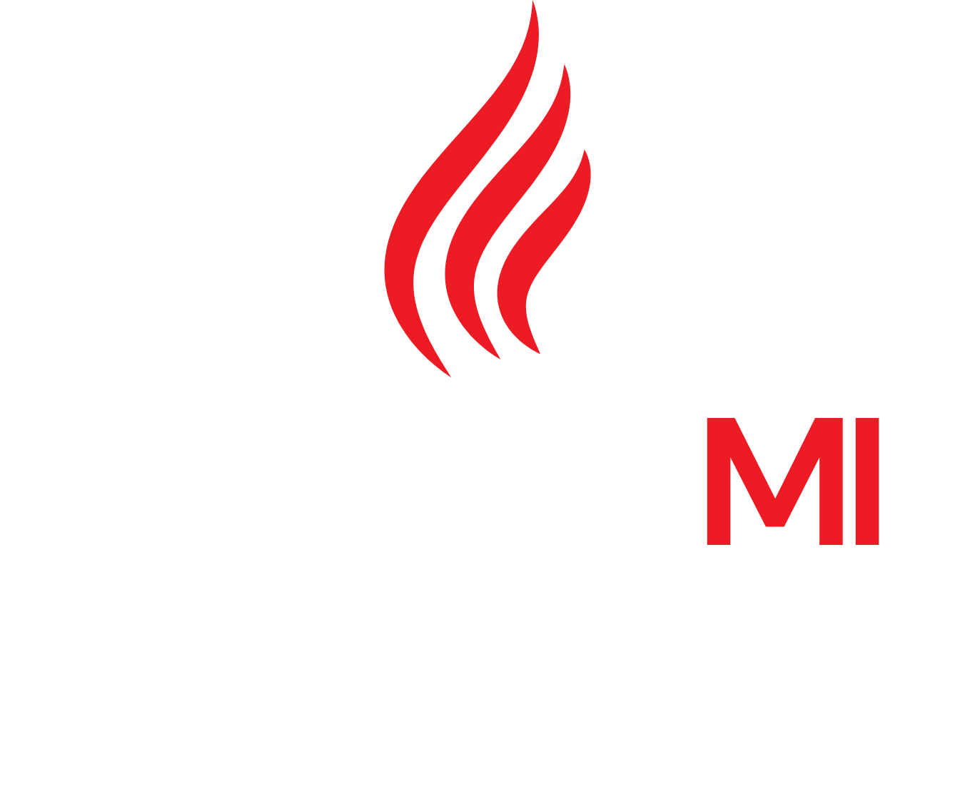 Protect MI Constitution from Special Interests